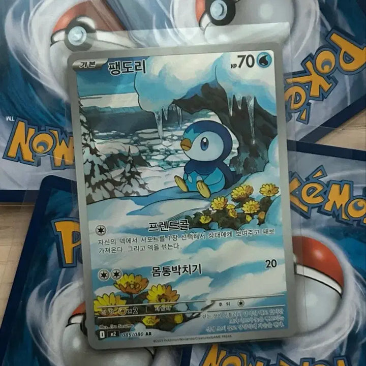 [BUNJANG] Pokemon AR Collection - Arbok, Budew, Relicanth, Piplup, Clefairy, Dedenne / 포켓몬스터 ar 모음 - 아보크, 수풀부기, 시라칸,팽도리, 삐삐, 데덴