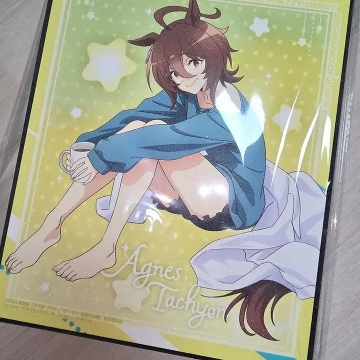 [BUNJANG] Uma Musume Agnes Tachyon Art Board (Sealed) / 우마무스메 아그네스 타키온 아트보드(미개봉)