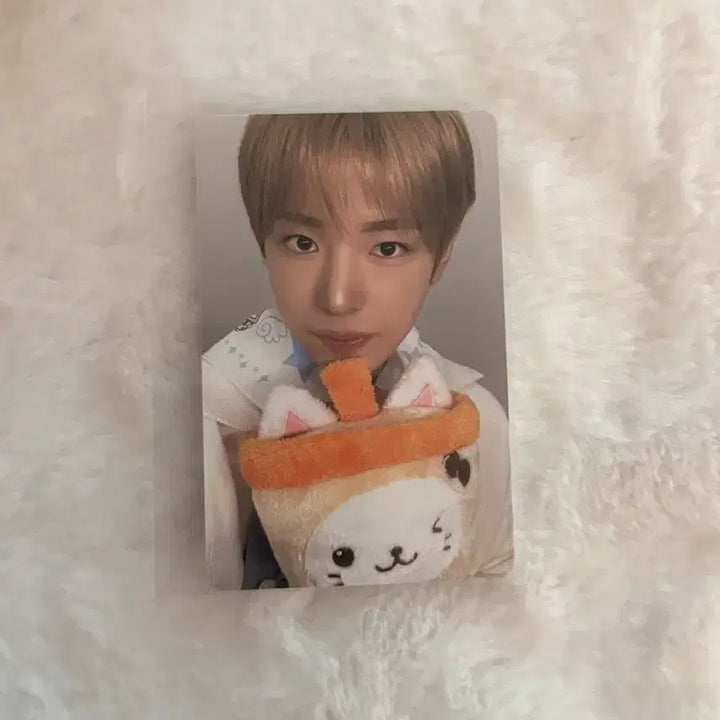 [BUNJANG] Bubble Cat 30cm Plush Toy (Sealed) / 30cm 버블냥 미개봉