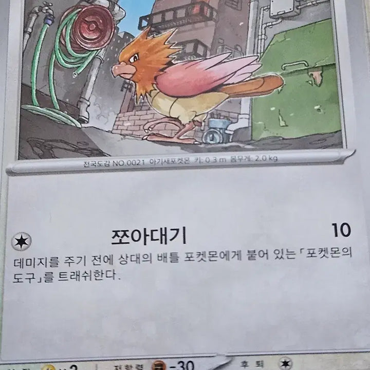 [BUNJANG] Pokemon Card Fletchling 052/063 C / 포켓몬 카드 깨비참 052/063 C