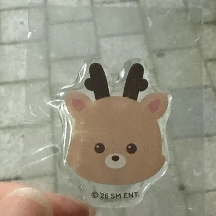 [BUNJANG] RIIZE Ttibu Seal / 라이즈띠부실