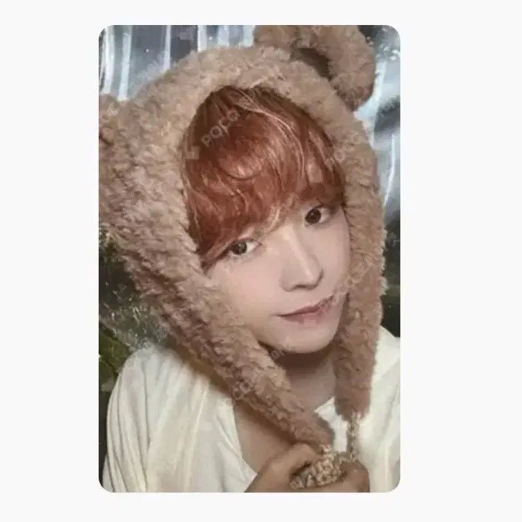 [BUNJANG] Yushi Gorldol Photocard / 위시북 일본 유우시 곰돌이 포카 양도