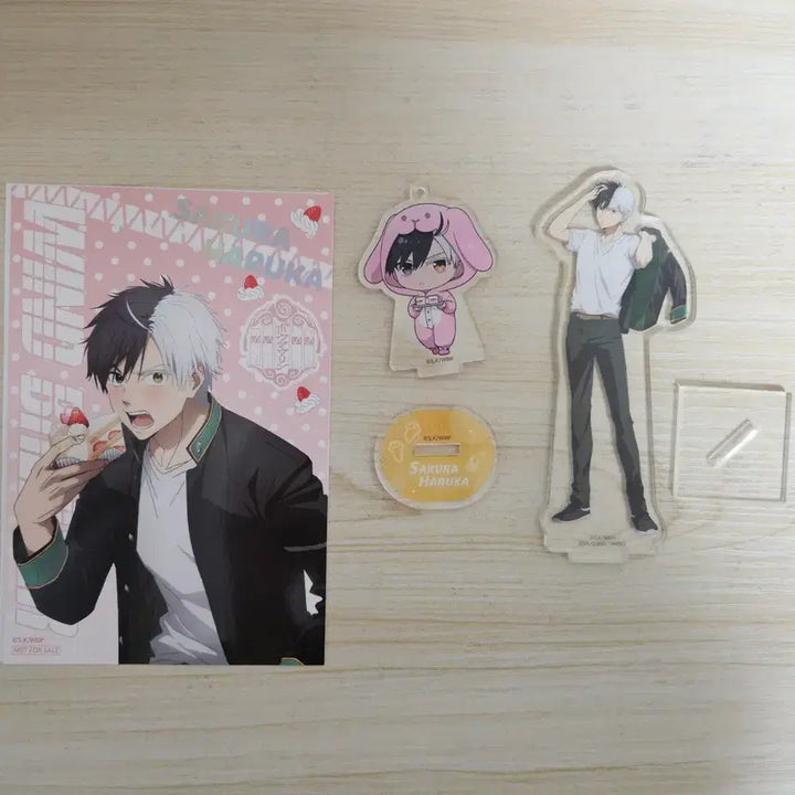 [BUNJANG] Winbre Sakura Acrylic Standee &amp; Postcard Bundle Set / 윈브레 사쿠라 아크릴+엽서 일괄