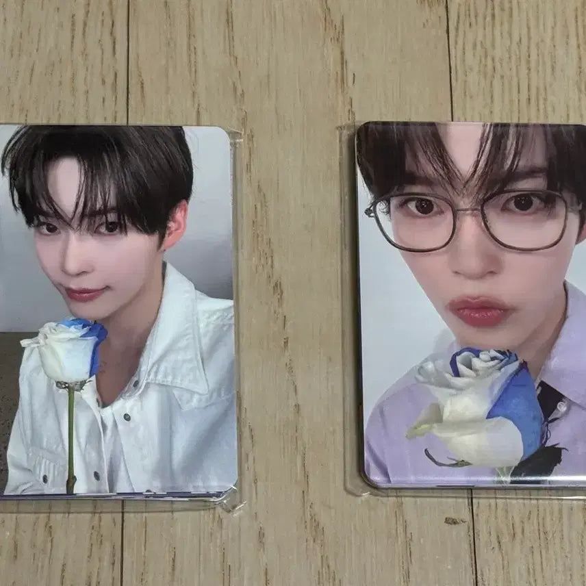 [BUNJANG] ZB1 Zerose Fanclub 3rd Gen Photocard Set / 제베원 팬클럽 제로즈 3기 포카 세트