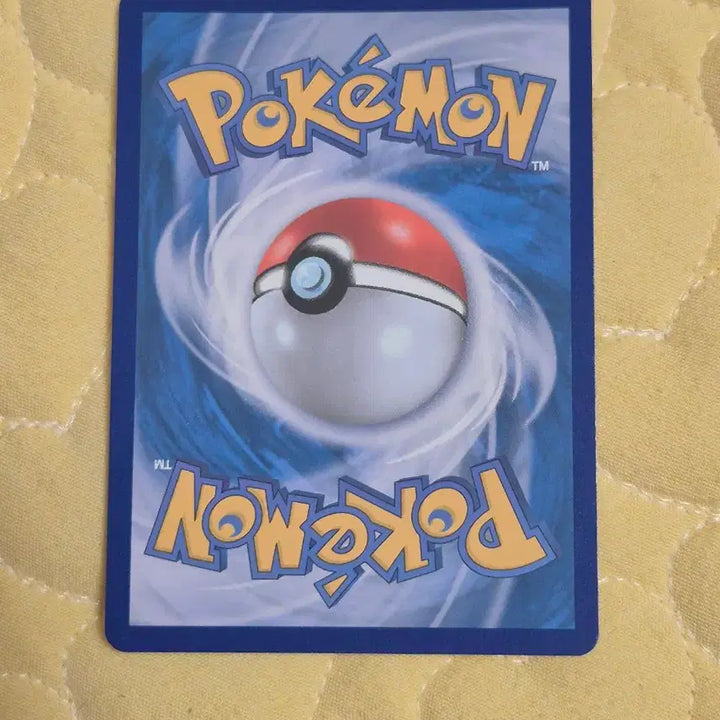 [BUNJANG] Pokemon Card Konchi Album Use / 포켓몬카드 콘치 앨범용