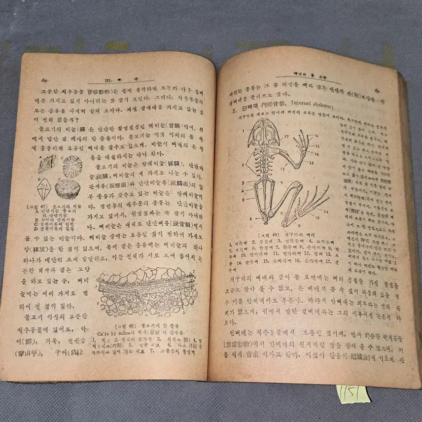 [BUNJANG] 1949 Biology Textbook - Educational Material / 40년대 교육자료 .  4282년 (1949년)  생물 .상 .서울동지사