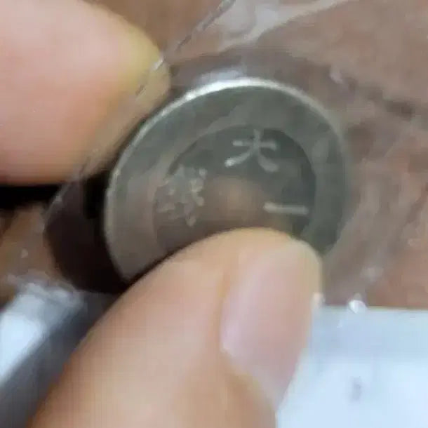 [BUNJANG] Collection of Assorted Foreign Coins (Chinese, Korean, Ancient, Silver, Gold, Modern) / BB13.외국동전.중국동전.한국동전.고전주화.은화.금화.근대주화