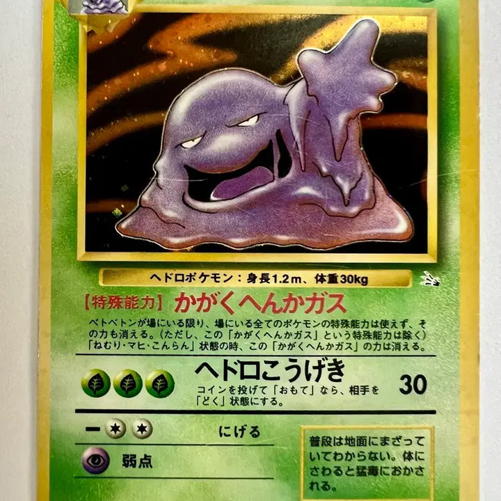 [BUNJANG] Sealed Pokemon Early Holo Set Meganium, Garbodor, Omastar, Pidgeot / 홀로) 포켓몬 포켓몬스터 초기 메가니움 질뻐기 시라소몬 깨비드릴조 세트