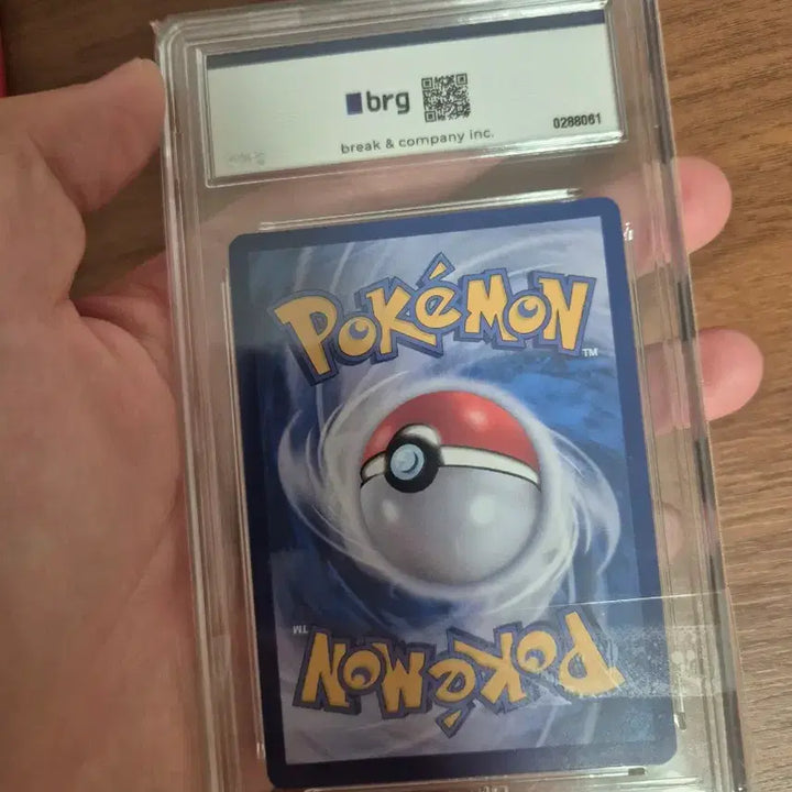 [BUNJANG] Charizard ex BRG10 Trading Card / 메리리자몽x ex brg10 판및교