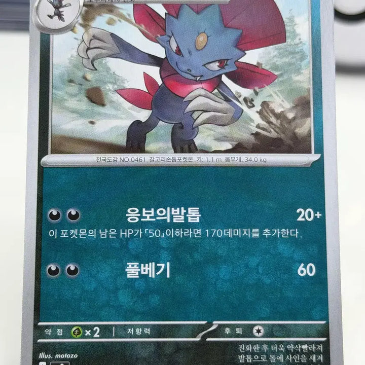 [BUNJANG] Popunira M2 049/080 U / 포푸니라 M2 049/080 U (300원)