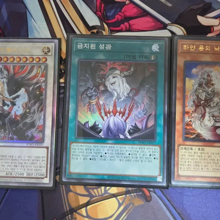 [BUNJANG] Black Dragon&