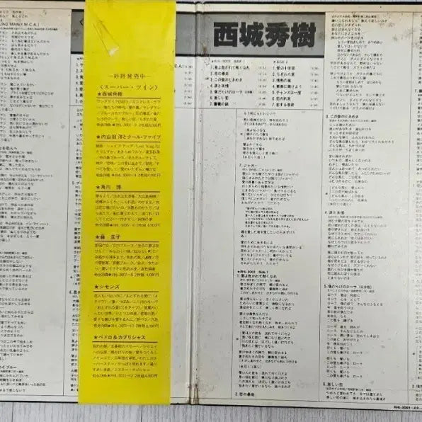 [BUNJANG] Hideki Saijo Super Twin 2LP / 히데키사이조 Super Twin 2LP
