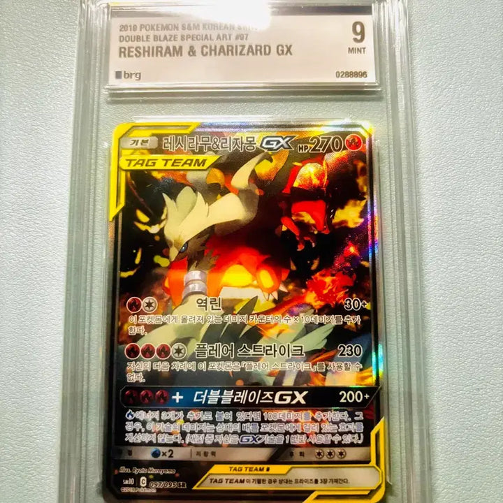 [BUNJANG] Pokemon Card Reshiram &amp; Charizard GX Special Art / 포켓몬카드 레시라무&amp;리자몽 GX특일