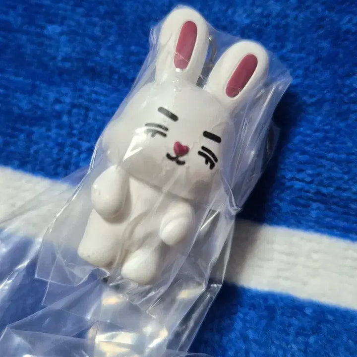 [BUNJANG] SEVENTEEN Mini Teen Cherry Keychain Gacha / 세븐틴 미니틴 쵯체리 키링 가챠