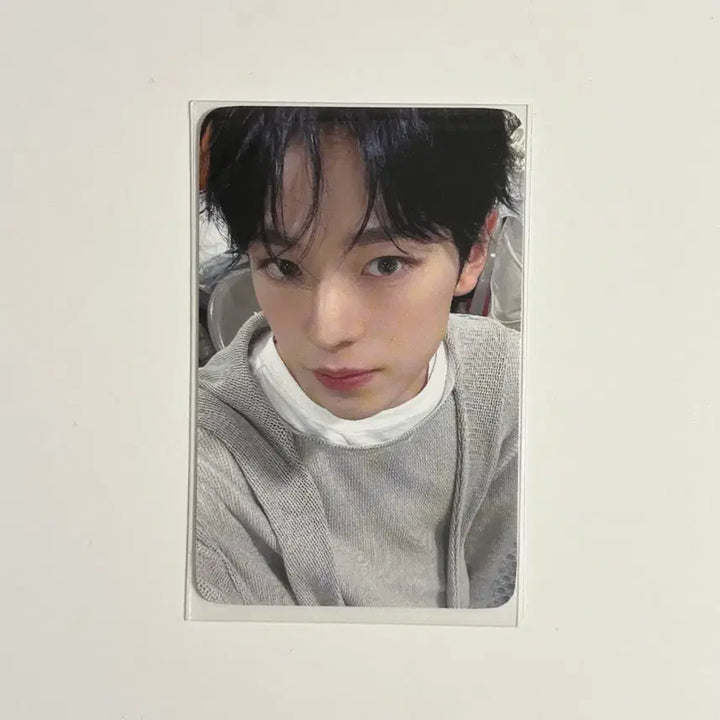 [BUNJANG] NCT WISH YUSHI Steady Music Plaza Photocard / 엔시티위시 유우시 스테디 위드뮤 포카