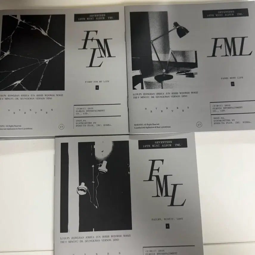 [BUNJANG] SEVENTEEN FML 10th Anniversary Mini Album / 세븐틴 FML 10주년 미니앨범