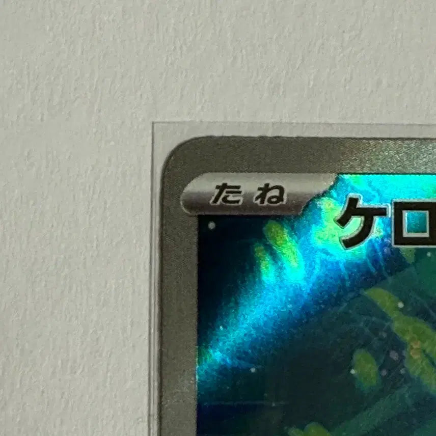 [BUNJANG] Pokemon TCG Mudkip AR Japanese Edition Card / 포켓몬스터카드 개구마르 ar 일어판