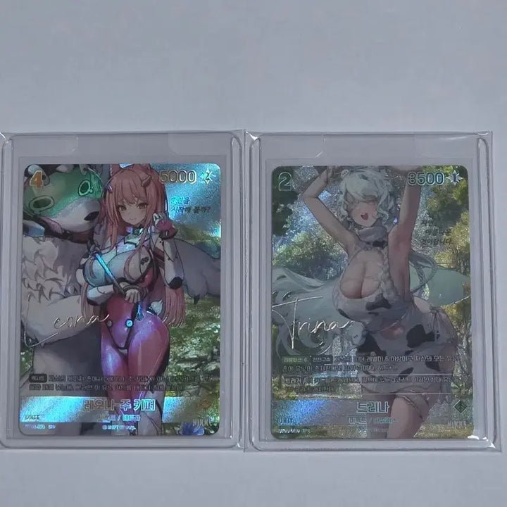[BUNJANG] Nivel Arena Signed Card / 니벨아레나 싸인카드