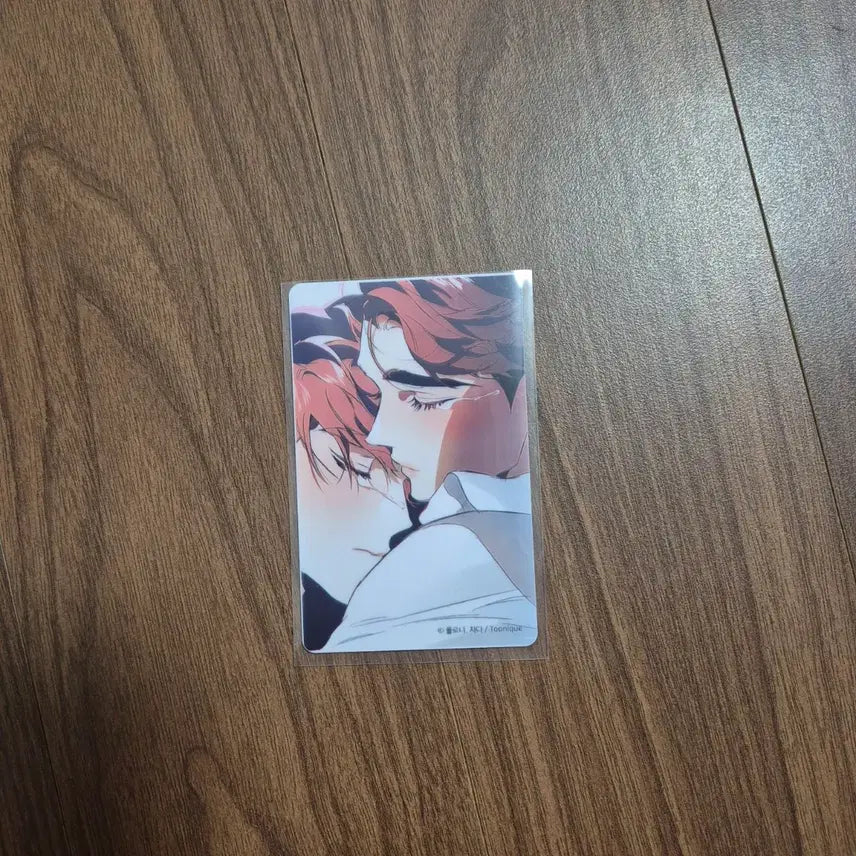 [BUNJANG] DTR Finder Relationship Photocard / 디티알 디파인더릴레이션십 DTR 헤이포카 포토카드 포카 판매