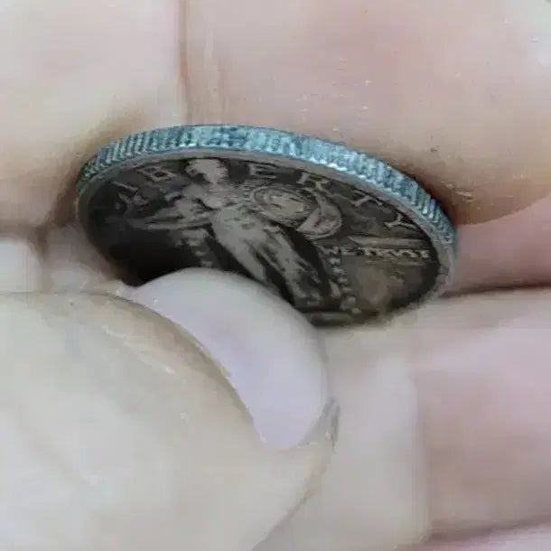 [BUNJANG] Collection of Foreign, Chinese, Korean, and Ancient Coins (Silver &amp; Gold) / BB6.외국동전.중국동전.한국동전.고전주화.은화.금화.근대주화