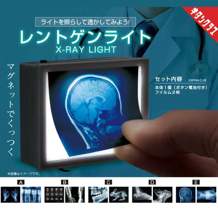[BUNJANG] Kitancleub Capsule Gacha X-ray Light A / 키탄클럽 캡슐 가챠 미니어쳐 엑스레이 X-ray 라이트 A