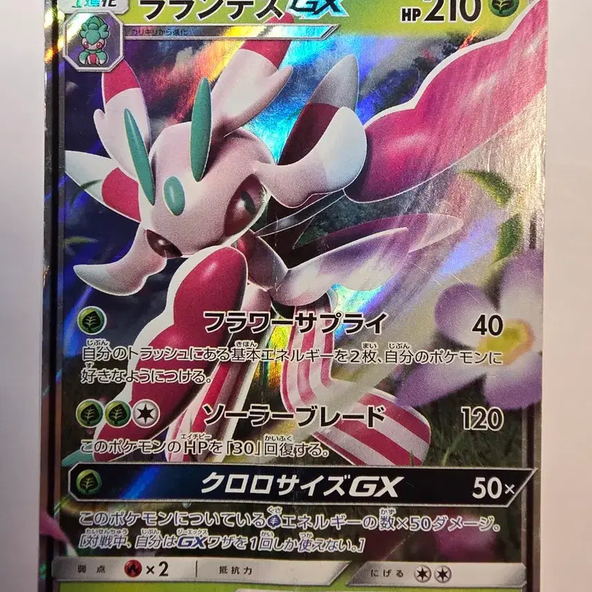 [BUNJANG] Vintage Pokemon Card - Japanese Lanturn GX / 빈티지)포켓몬카드 일판 라란테스GX