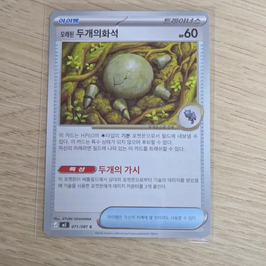 [BUNJANG] Two Old Fossils / 오래된 두개의화석