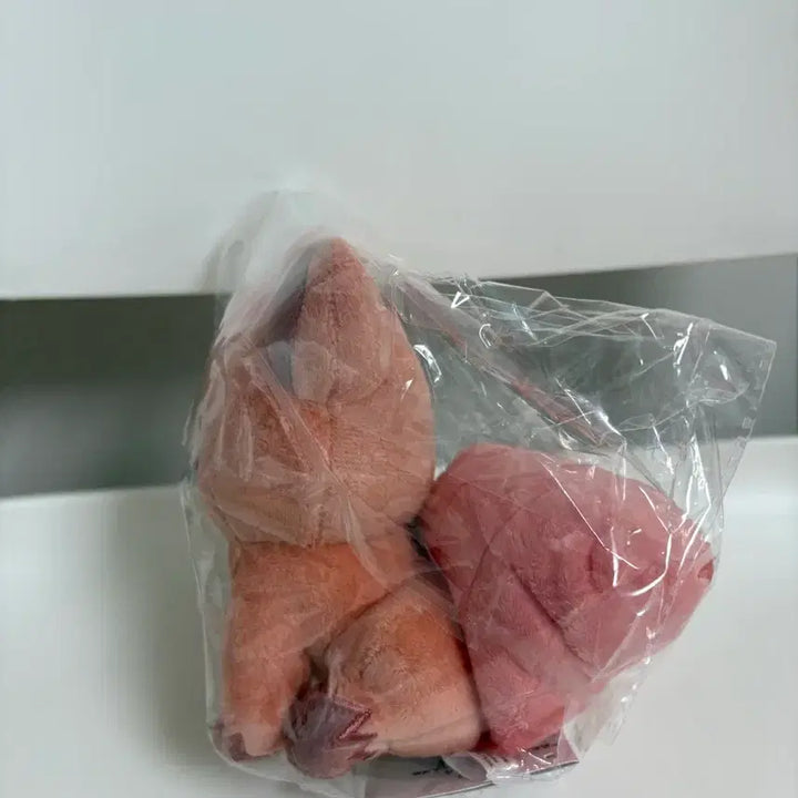 [BUNJANG] Pokemon Ditto Vulpix Plush Toy / 포켓몬 메타몽 식스테일 인형
