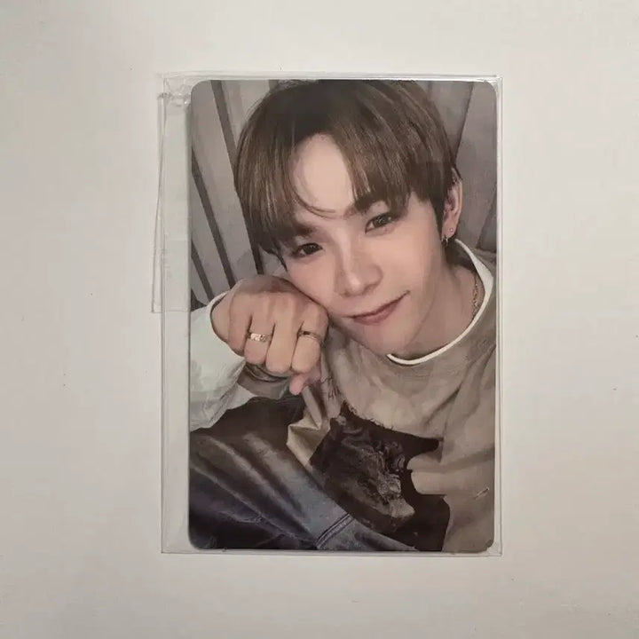 [BUNJANG] EVERGLOW ShoTaro Photocard (Sealed) / 에버라이즈 반지 쇼타로 포카 미개봉