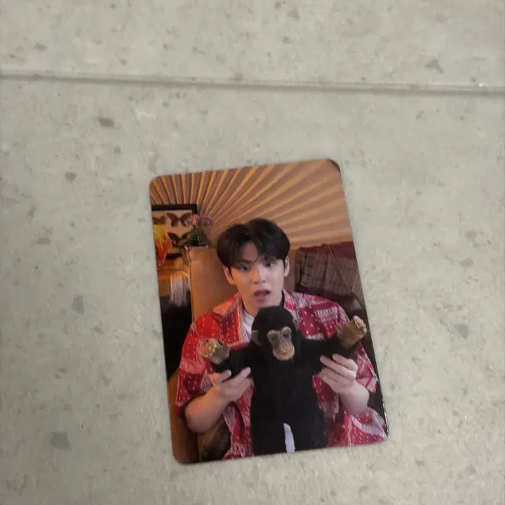 [BUNJANG] Day6 Sungjin Photocard Right Through Me / 데이식스 Right through me 뚫고 지나가요 필숭이 포카