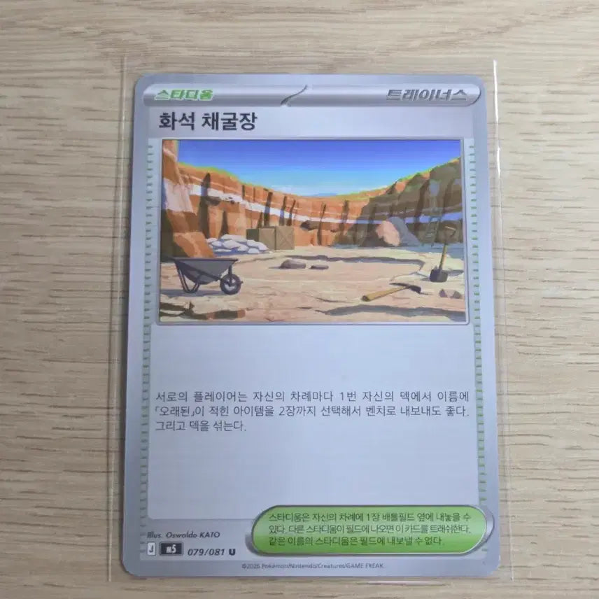 [BUNJANG] Fossil Digging Site / 화석 채굴장