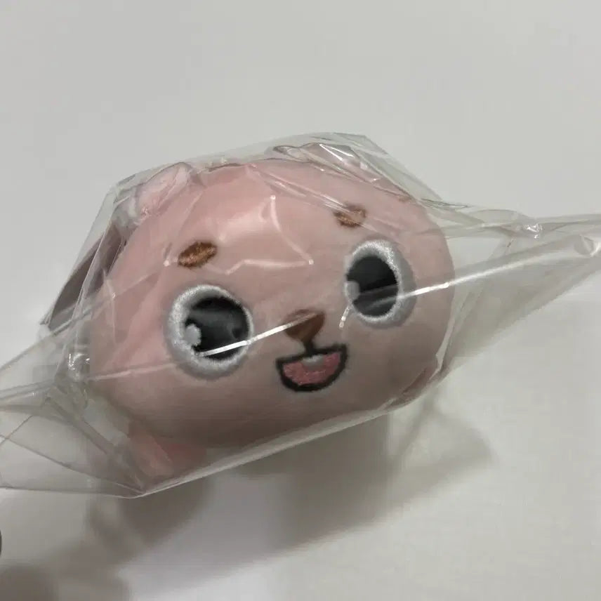 [BUNJANG] DAY6 Young K Dennimals Plush Doll / 데니멀즈 필끼 데이식스 원필 인형