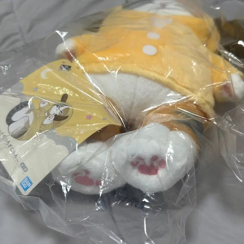 [BUNJANG] Mofusand Ichiban Kuji B Prize Cat Plush Doll / 모프샌드 이치방쿠지 B상 인형 고양이