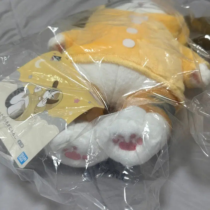 [BUNJANG] Mofusand Ichiban Kuji B Prize Cat Plush Doll / 모프샌드 이치방쿠지 B상 인형 고양이