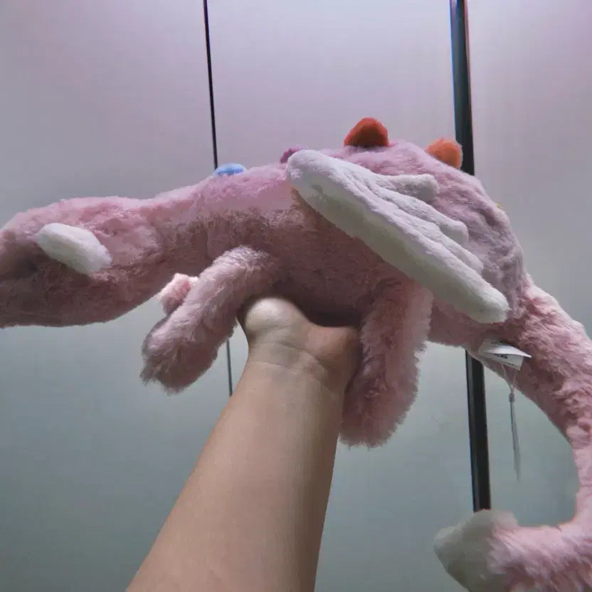 [BUNJANG] Jellycat Ruby Cruiser Dusk Rise Dragon Limited Edition / 젤리캣 루비크루저 한정 더스크라이즈 드래곤 황혼 드래곤