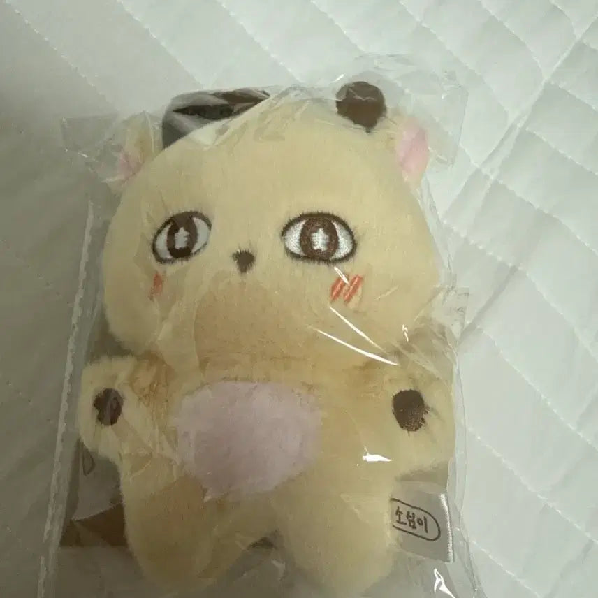 [BUNJANG] Park Ji Hoon "Sosu-i" Plush Doll / 박지훈 소심이인형 판매