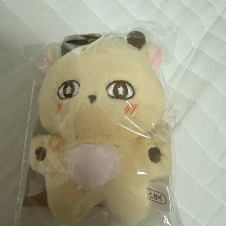 [BUNJANG] Park Ji Hoon "Sosu-i" Plush Doll / 박지훈 소심이인형 판매