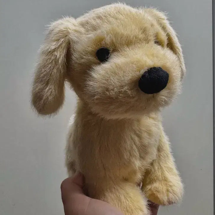 [BUNJANG] Jellycat Golden Puppy Plush / 잴리캣 골든 퍼피
