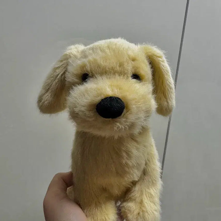 [BUNJANG] Jellycat Golden Puppy Plush / 잴리캣 골든 퍼피