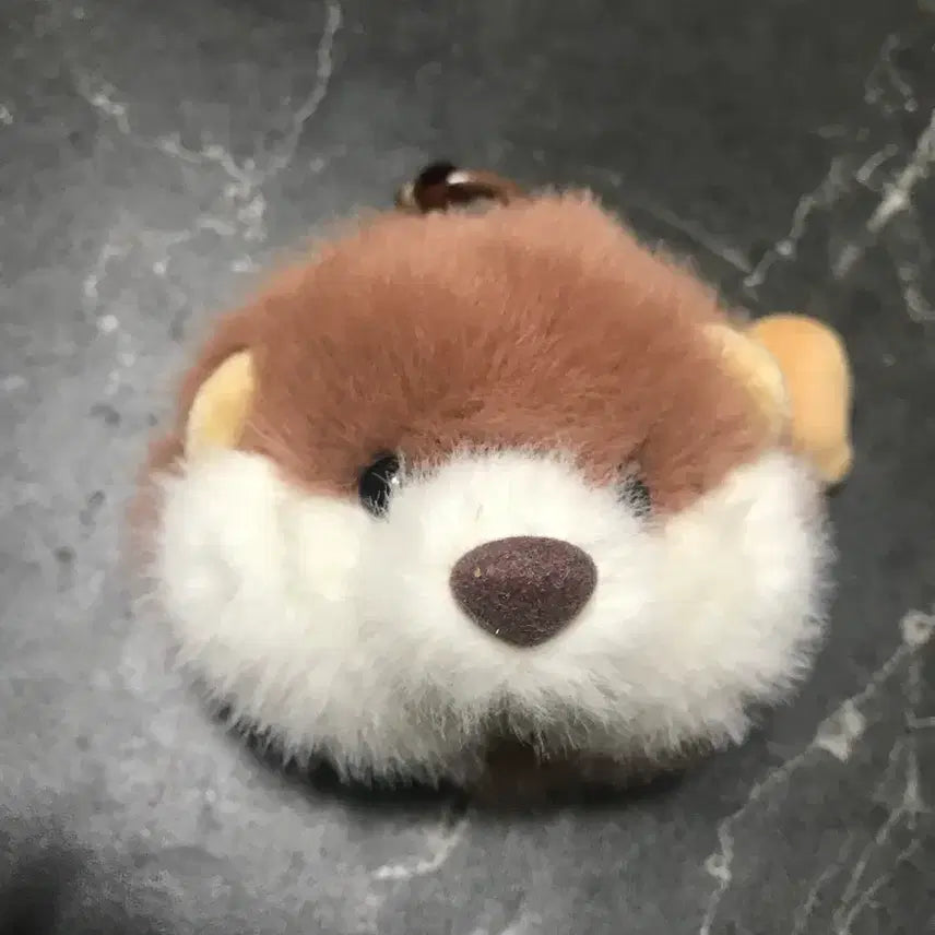 [BUNJANG] Rakkosan Otter Coin Purse Keychain / 랏코짱 수달 동전지갑 키링