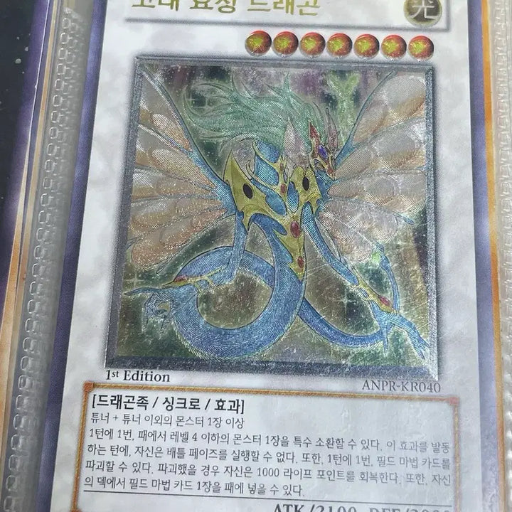 [BUNJANG] Ancient Fairy Dragon 1st Edition / 고대요정드래곤