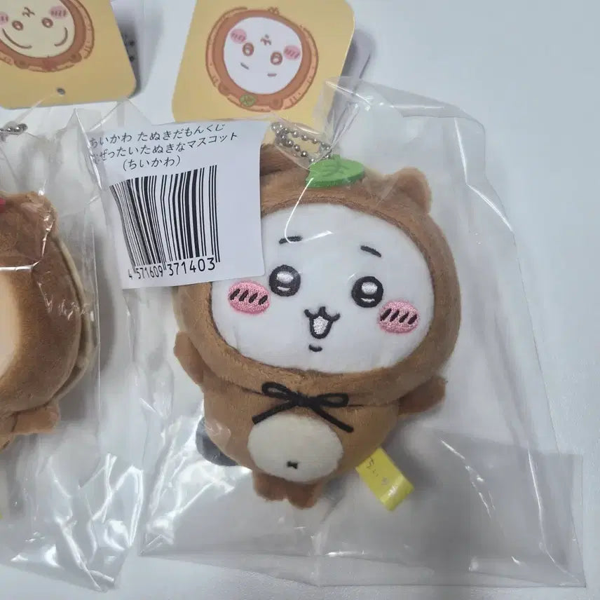 [BUNJANG] Chiikawa Tanuki Mascot (C Prize) / 치이카와 먼작귀 너구리(타누키)쿠지 C상 마스코트
