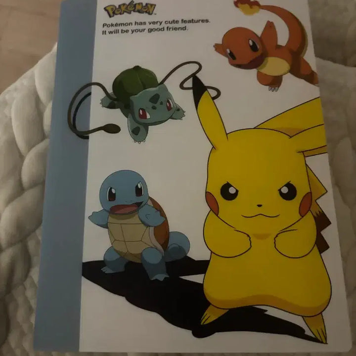 [BUNJANG] Pokemon Sticker Book + 30 Stickers / 포켓몬스터 띠부실 북+띠부실 30종