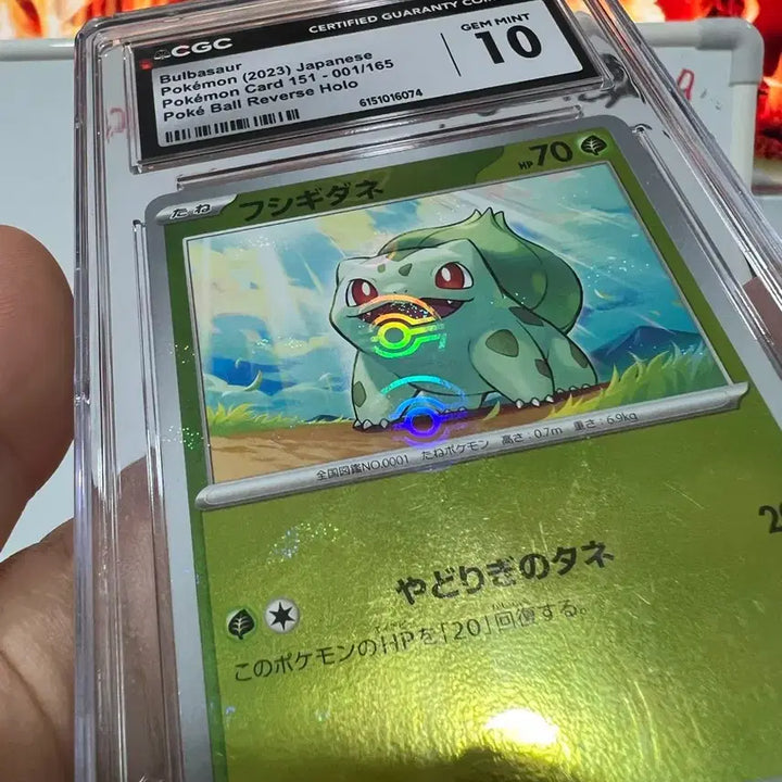 [BUNJANG] Bulbasaur CGC 10 Holo Pokemon Card / 이상해씨 포켓몬카드 cgc 10점