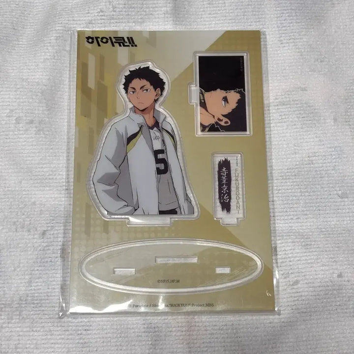 [BUNJANG] Haikyuu!! Akaashi Keiji Acrylic Stand / 하이큐 아카아시 케이지 아크릴 스탠드
