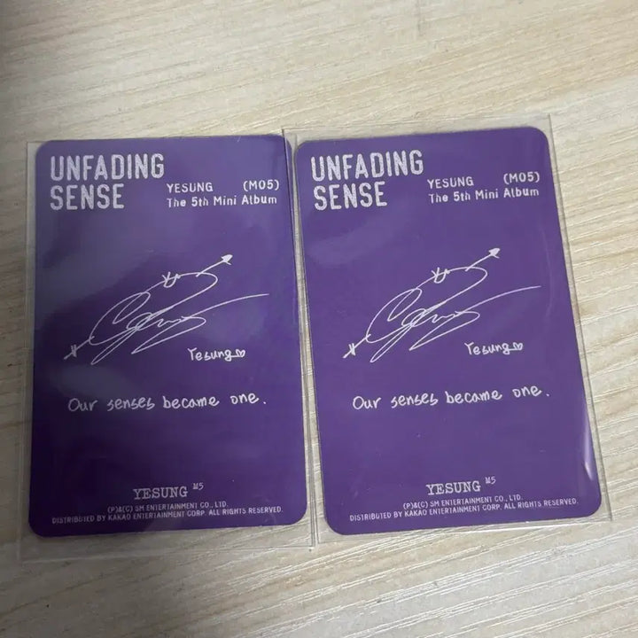 [BUNJANG] YESUNG Photocard Set / 예성 포카 2장