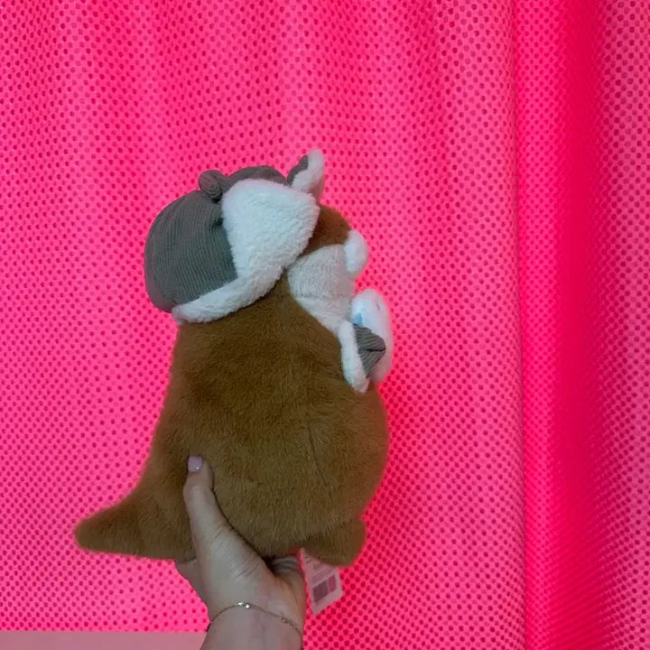 [BUNJANG] Uso Uso-chan Brown 27cm Plush Toy / 꽁꽁 우소우소짱 브라운 27cm 새상품
