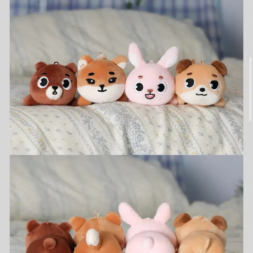[BUNJANG] Day6 Denimals (K) Photocard Holder / 데이식스 데니멀즈(케)