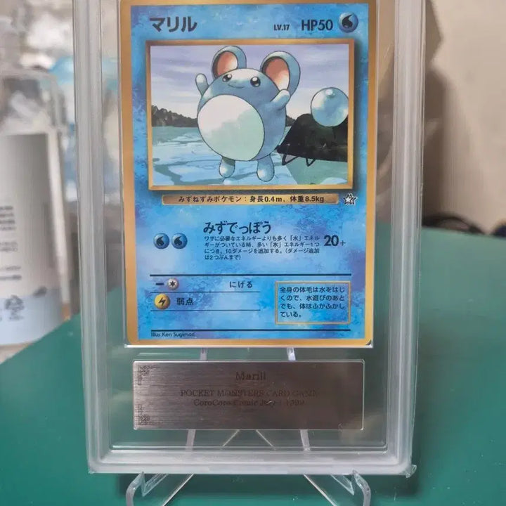 [BUNJANG] 1999 Marill CoroCoro Promo ARS9 Pokemon Card / 일판 마릴 1999년 프로모 ARS9 코로코로 등급카드 등카 포켓몬카드