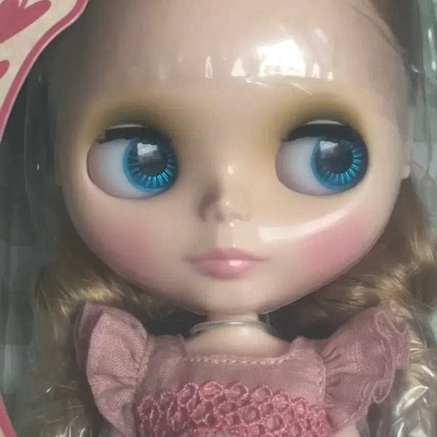 [BUNJANG] Chloris Country Life Blythe Doll (Sealed) / 클로리스 컨트리라이프 블라이스  미개봉